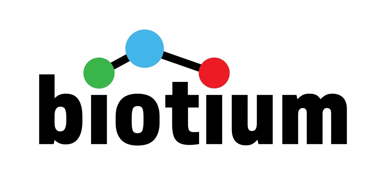 Logo 6